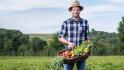 BioFerdl Obst- &amp;amp;amp;amp; Gemüsekisten liefern lassen