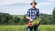 BioFerdl Obst- &amp;amp;amp;amp;amp; Gemüsekisten liefern lassen